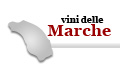 vini delle marche