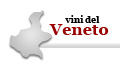 vini del veneto